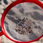 Recogida de pellets de plástico de las playas gallegas