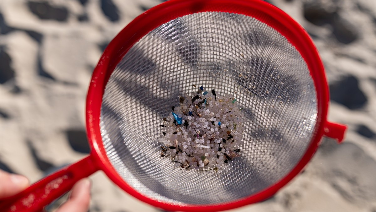 Recogida de pellets de plástico de las playas gallegas