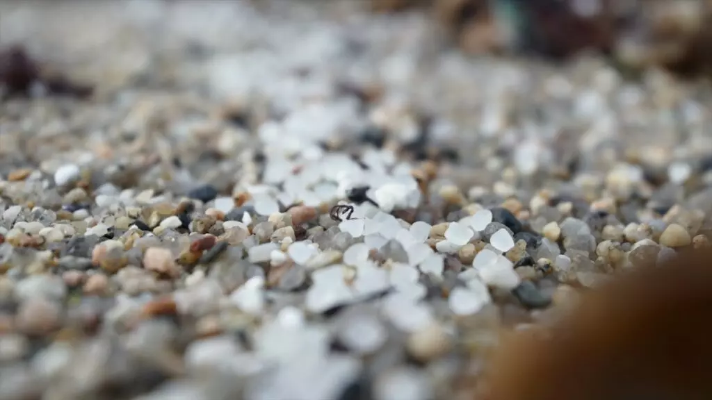 Los microplásticos se extienden sin control por decenas de playas españolas y europeas, pero no son noticia