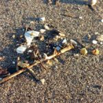 Prealerta por la aparición de pellets en Tenerife, que desvinculan con el vertido de Galicia