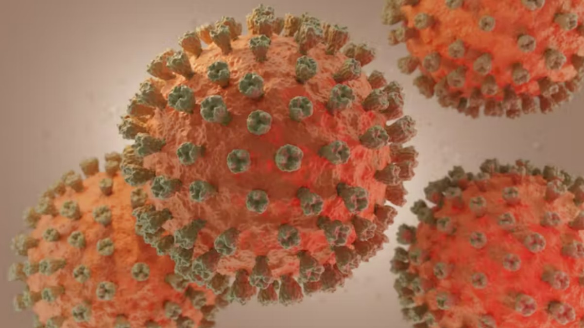 Virus de la gripe aviar