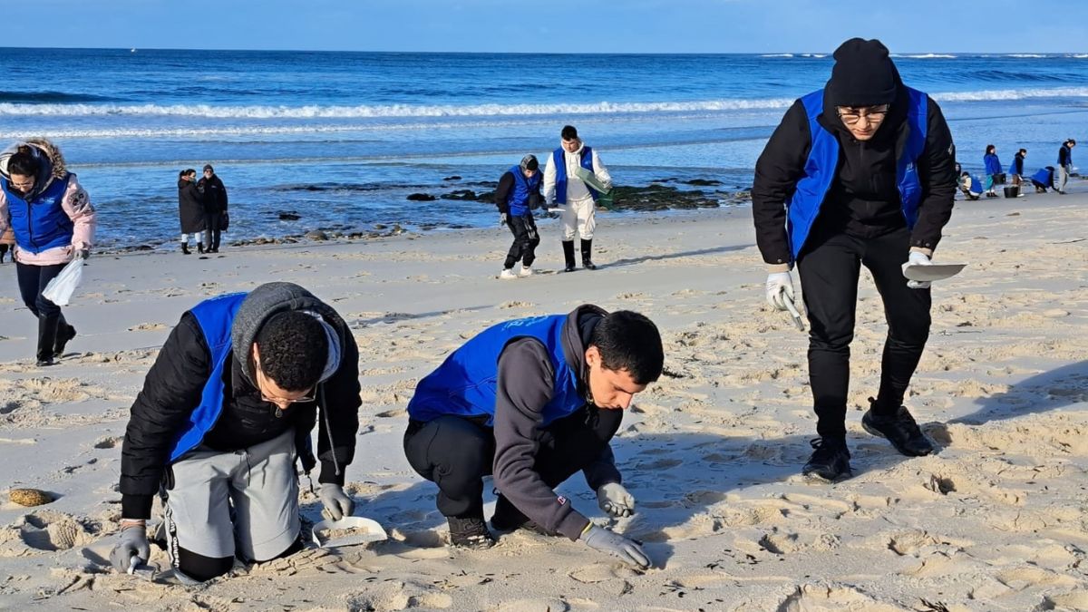 Voluntarios de Afundación limpian de pellets la playa de Lariño