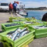La rebelión en el campo se extiende al mar y pone en pie de guerra a miles de pescadores en toda España