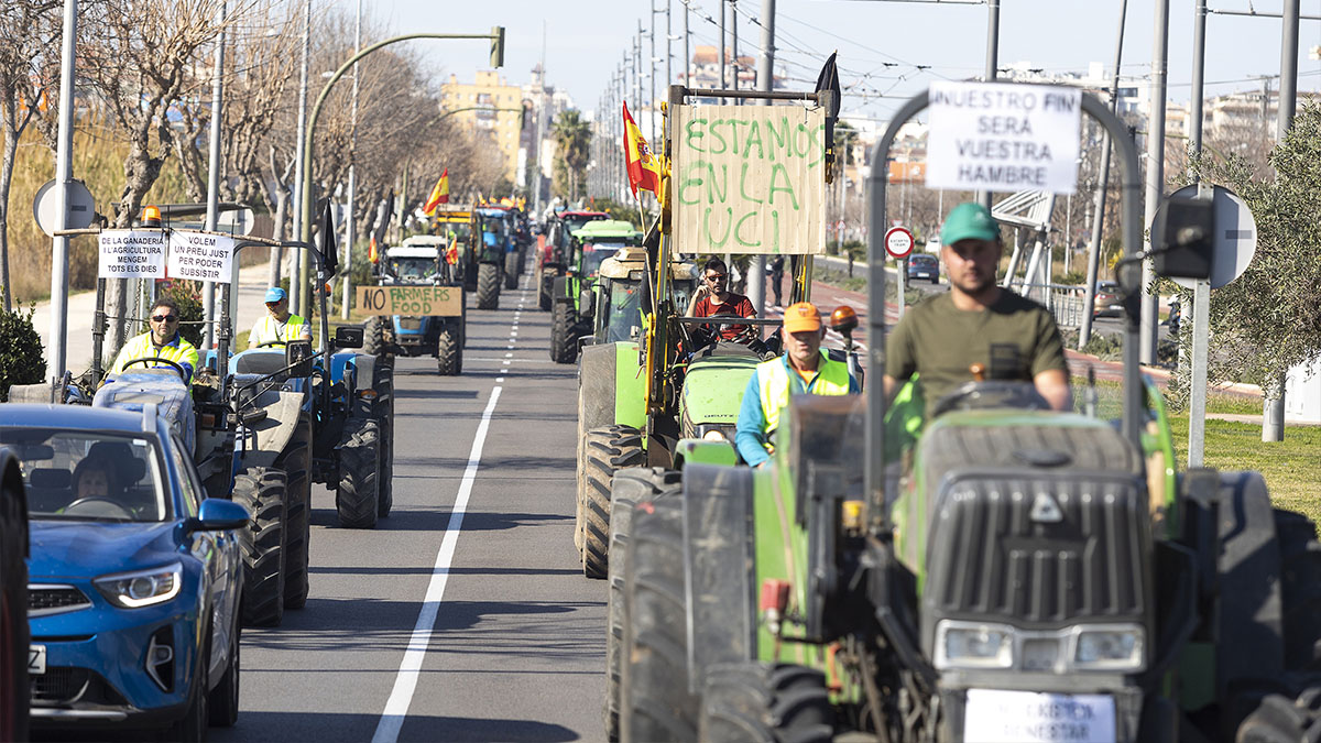 Imágenes de las tractoradas del campo español