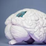 Neuralink: lo que hay detrás y el futuro de implantes cerebrales como el creado por Elon Musk