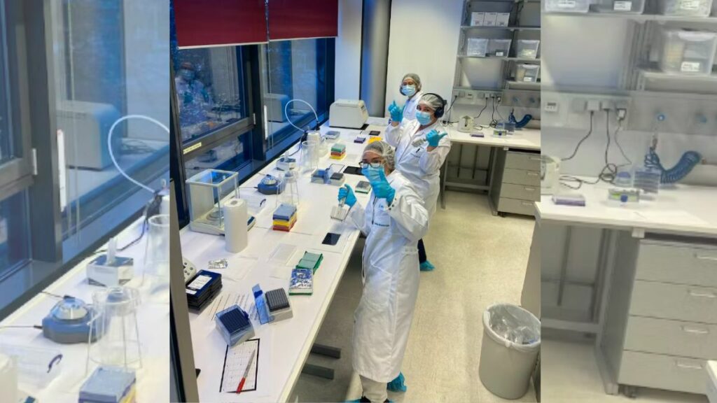 El gran número de especímenes muestreado y analizado para el análisis paleoproteómico en el laboratorio MPI-EVA de Leipzig fue un verdadero esfuerzo de colaboración
