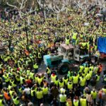 Protestas de agricultores y ganaderos en Logroño