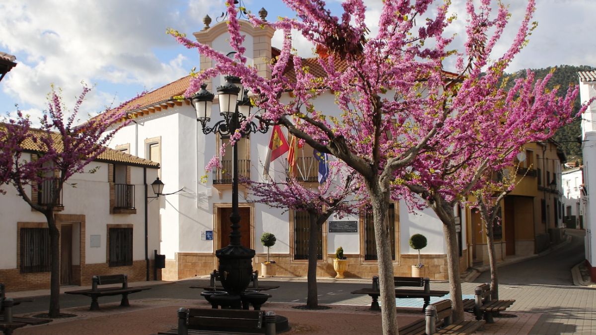 Ayuntamiento de Villaverde de Guadalimar (Aplbacete).
