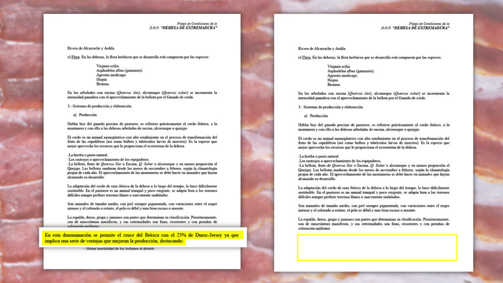La DOP Dehesa de Extremadura manipula las condiciones de sus jamones 100% ibéricos para ocultar el cruce