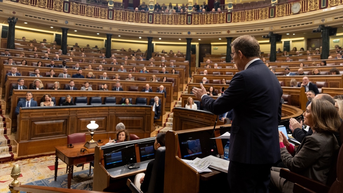 Alberto Núñez Feijóo interviene durante una sesión de control al Gobierno, en el Congreso.