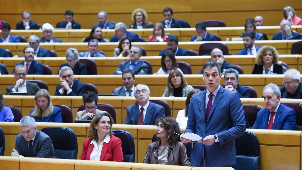 Pedro Sánchez en una sesión de control al Gobierno en el Senado