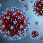 Los virus dejan huellas inmunes imborrables en nuestro cuerpo