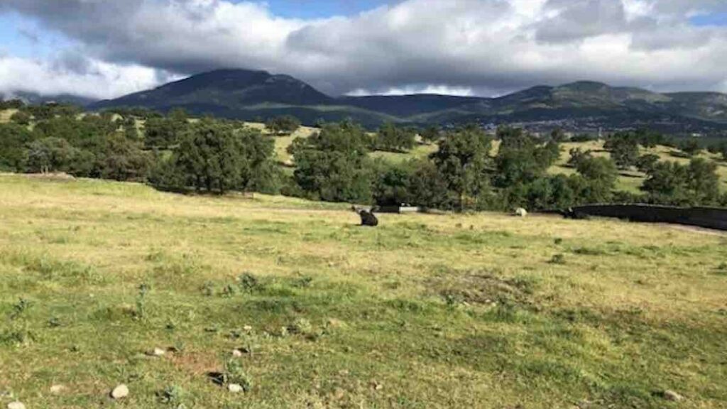 5 rutas desconocidas en la comarca de Sierra de Guadarrama