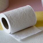 Meter papel higiénico en la nevera: el truco de moda en todas las casas