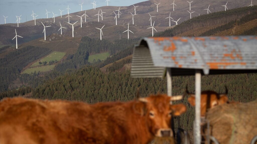 En peligro el desarrollo de proyectos industriales en Galicia por la paralización judicial de los parques de viento