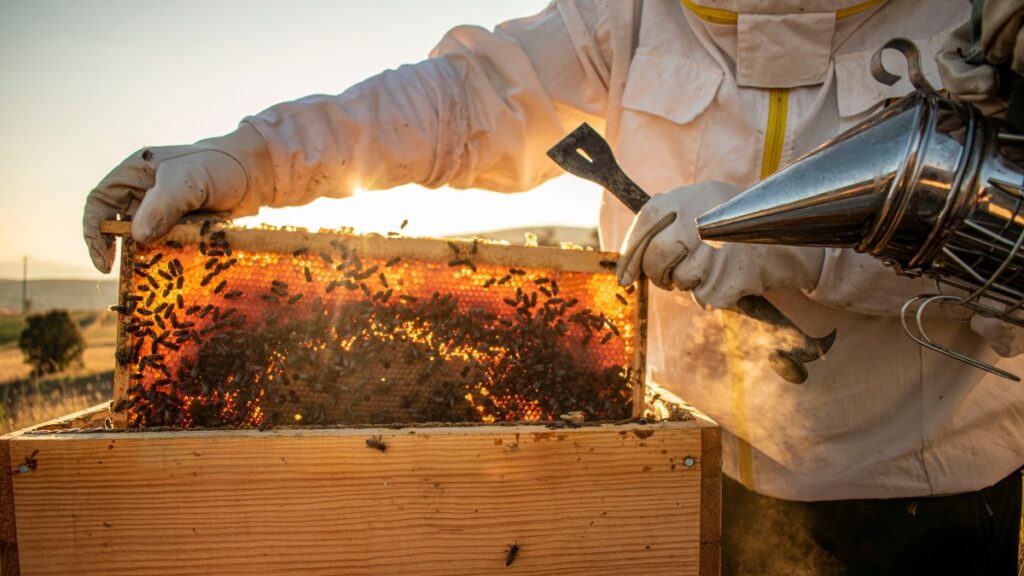 Más allá de las fresas: casi la mitad de la miel importada de terceros países ha sido adulterada