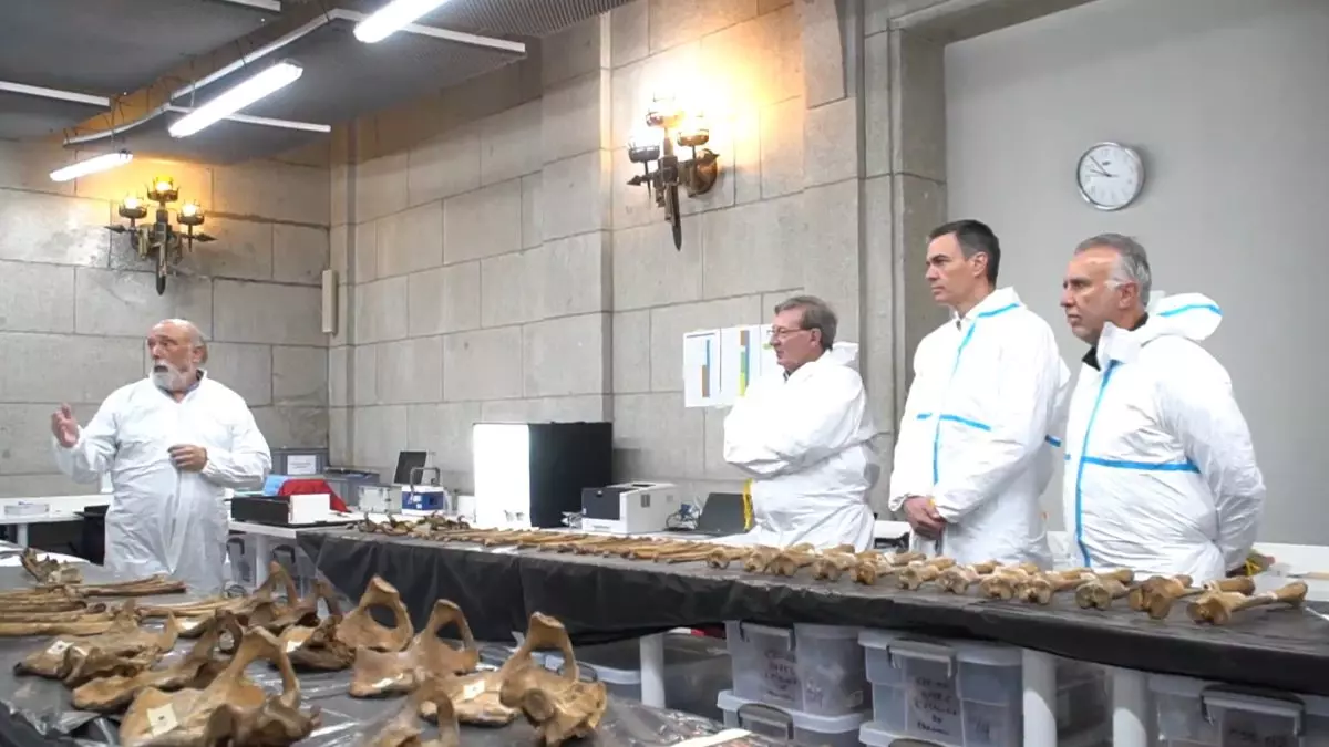 Pedro Sánchez visita los trabajos del laboratorio forense en el Valle de los Caídos, a 4 de abril de 2024