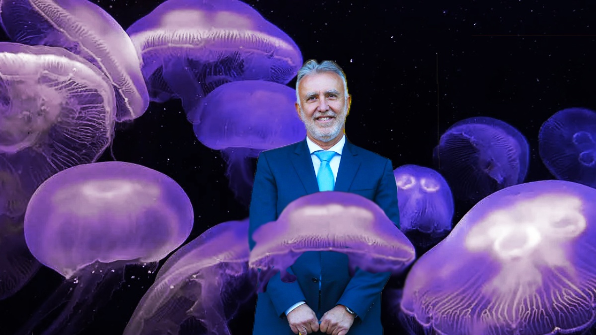 Ángel Víctor Torres y el peligro de las medusas