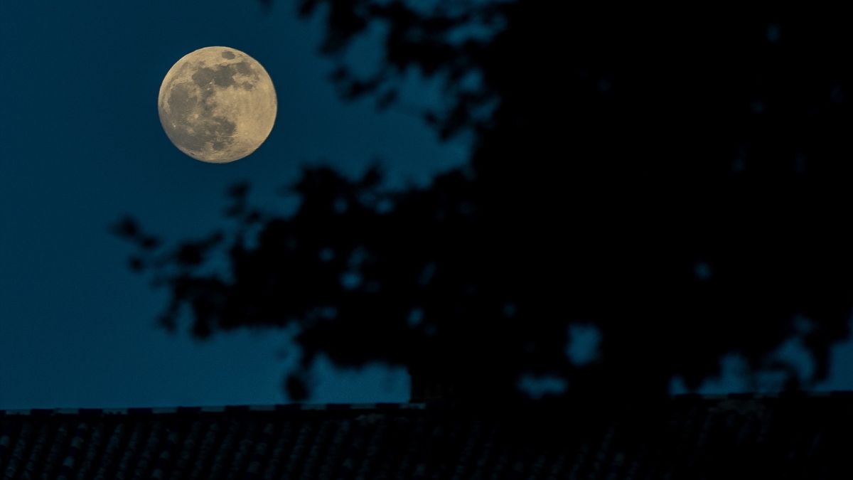 Luna llena de mayo 2024: así es la luna de las flores que se podrá ver en España
