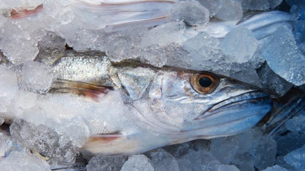 Alerta sanitaria de la Unión Europea por un pescado que tiene anisakis