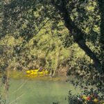 Búsqueda de un menor desaparecido mientras se bañaba en el río Júcar