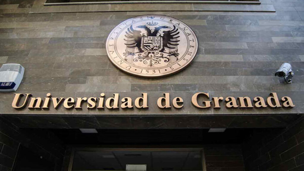 Ser bibliotecario en la Universidad de Granada es misión imposible: los 555 aspirantes han suspendido