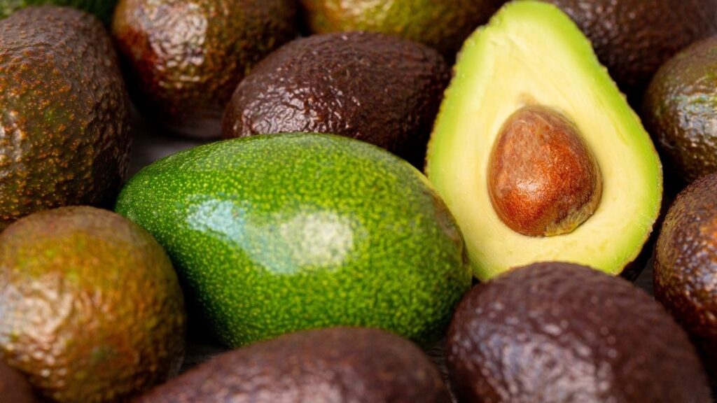 Aguacate