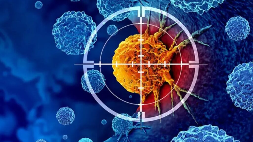 Descubriendo el ejército invisible: el papel del sistema inmunitario en la lucha contra el cáncer