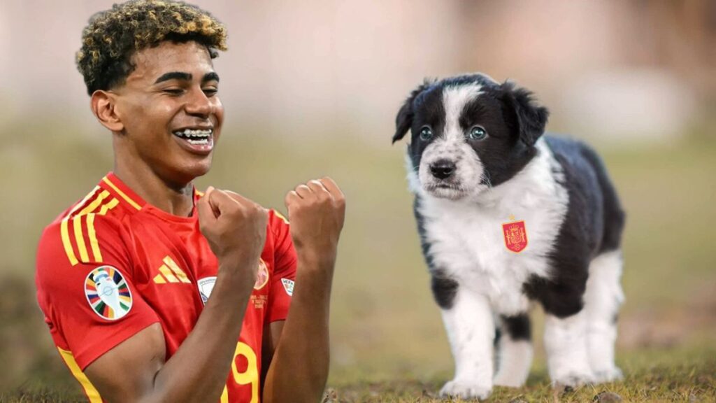 Lamine Yamal y el cachorro del border collie