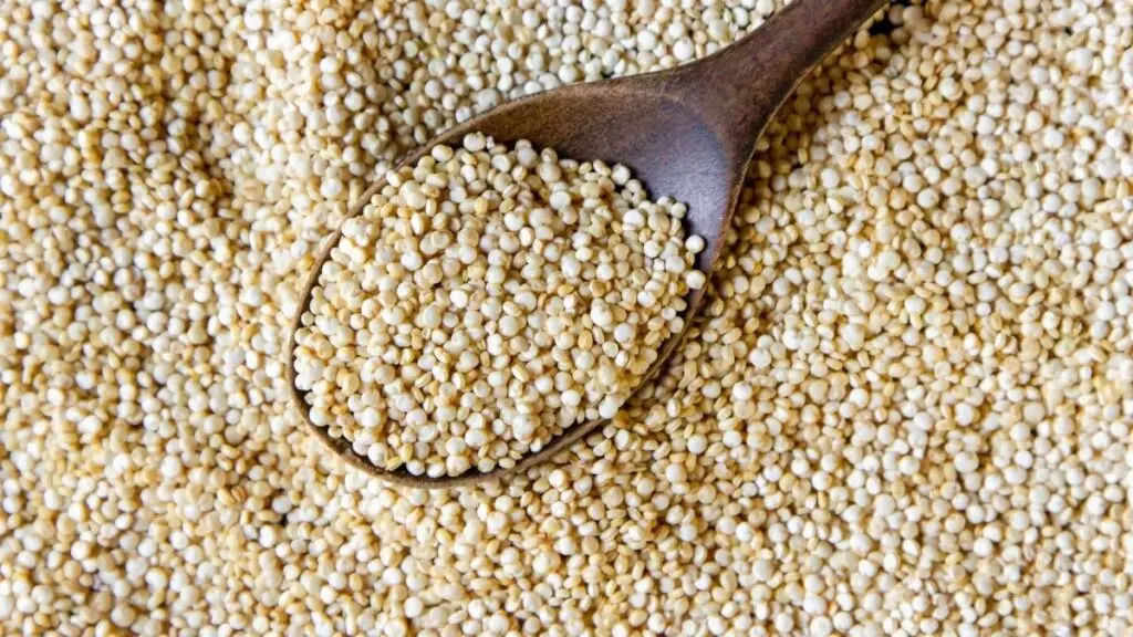 Quinoa