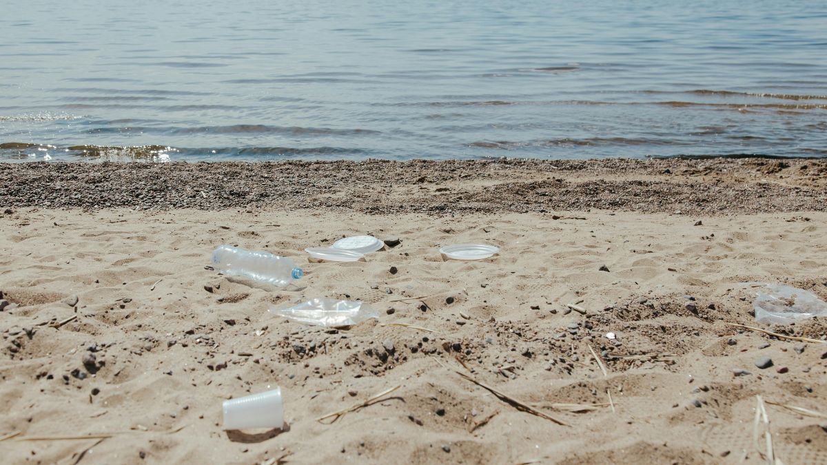 Plásticos y suciedad en una playa