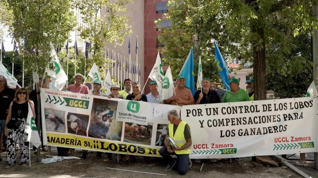 Concentración de agricultores y ganaderos para exigir una gestión racional del lobo y la protección de la ganadería.