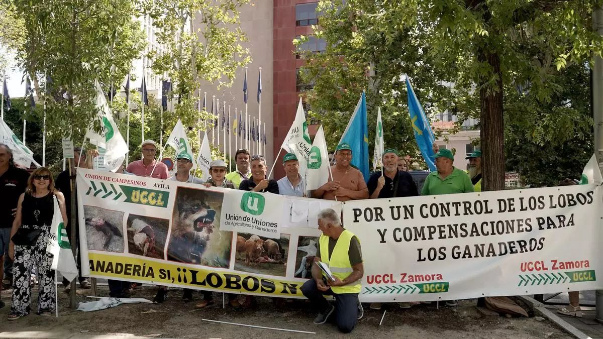 Concentración de agricultores y ganaderos para exigir una gestión racional del lobo y la protección de la ganadería.