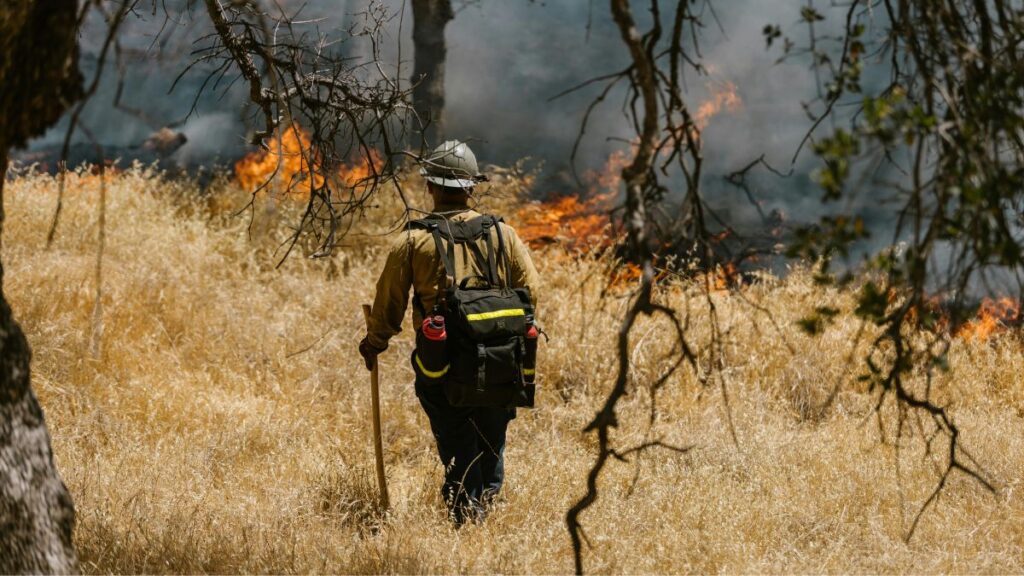 Los efectivos tratan de extinguir las llamas