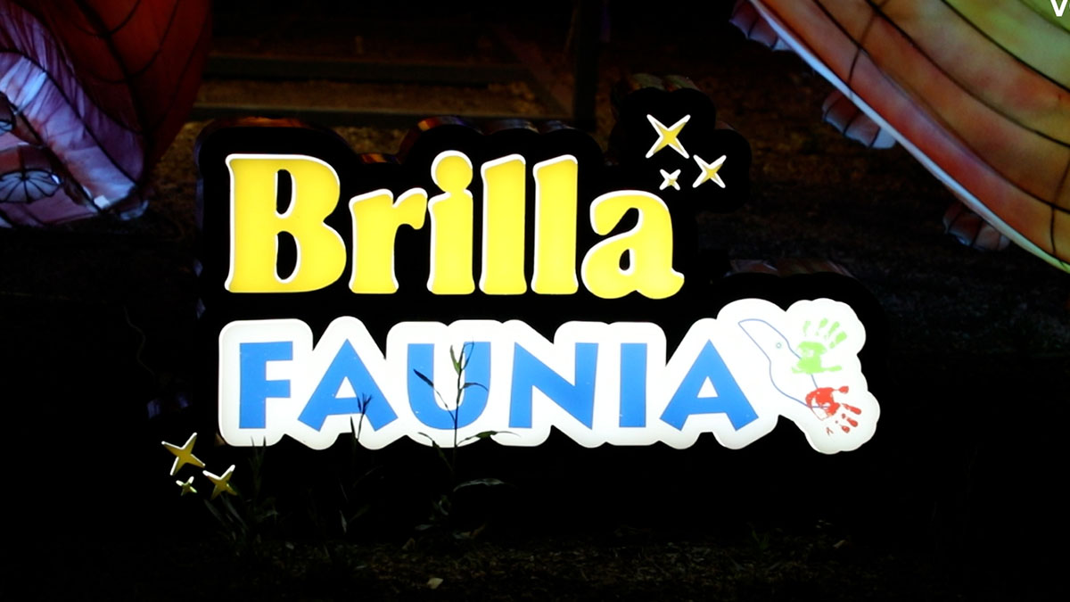 Brilla Faunia