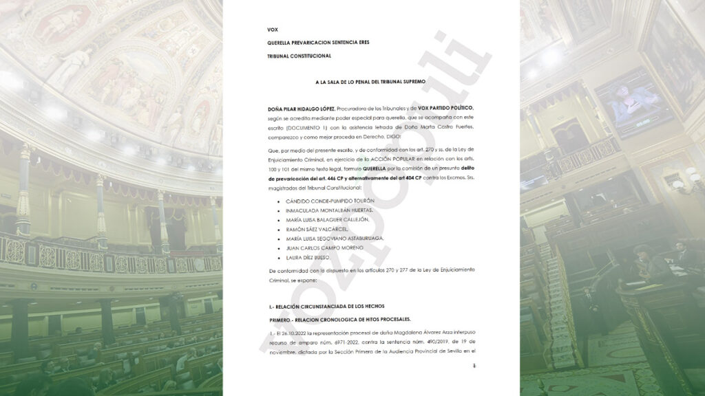 Querella de Vox contra el presidente del Tribunal Constitucional