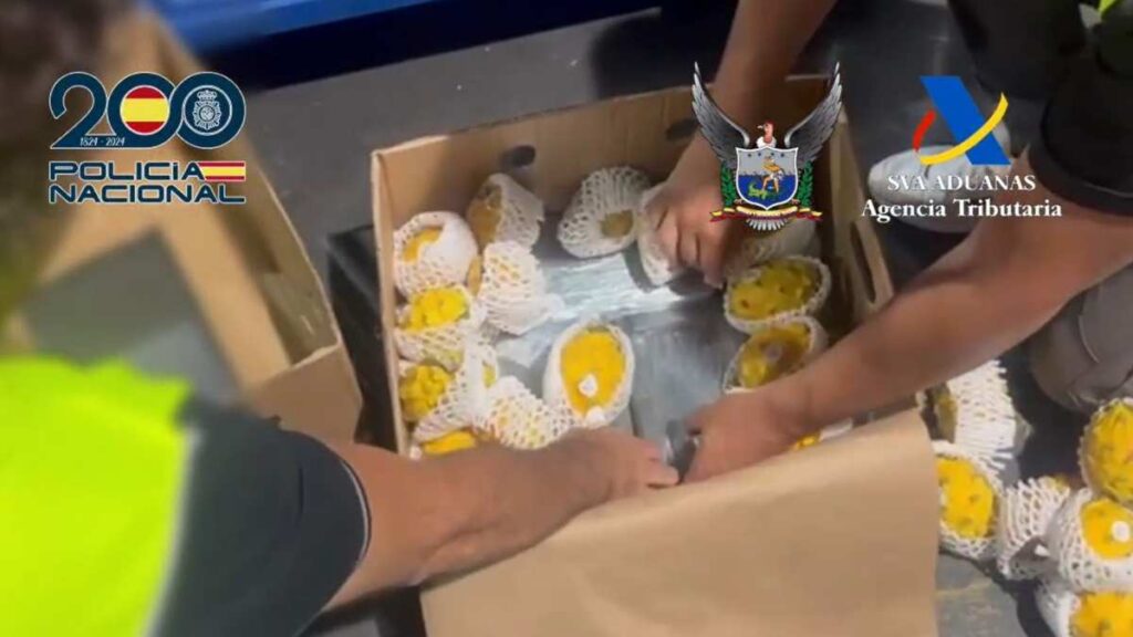 El secreto oculto en los contenedores aéreos con "fruta del dragón": un cargamento de 165 kilos de cocaína