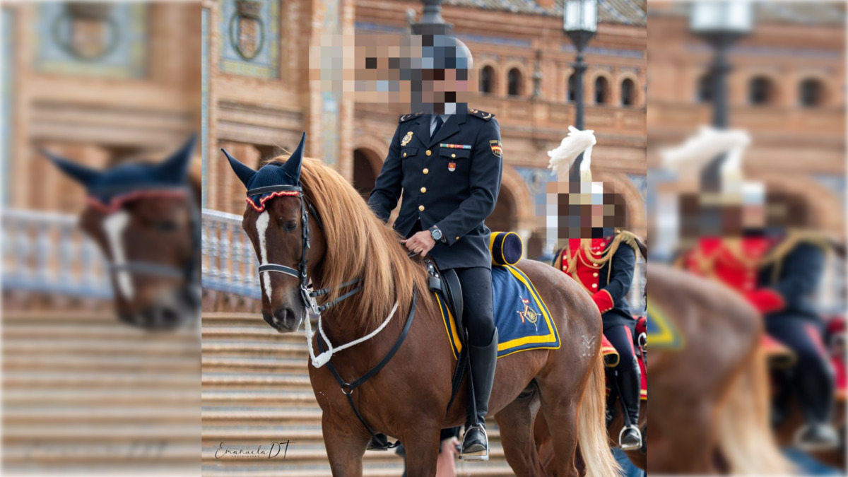 Pomo, el caballo lesionado de la Policía Nacional