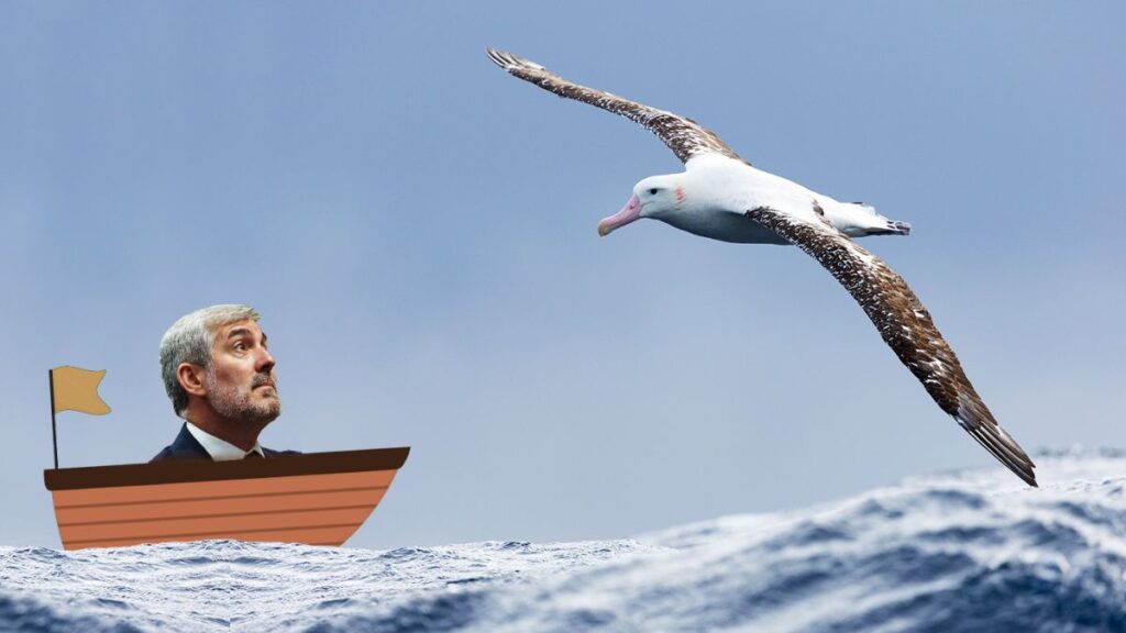 Fernando Clavijo y la soledad del albatros errante