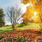 Los meteorólogos hablan sobre el cambio de armario en este mes de octubre con la llegada del otoño.