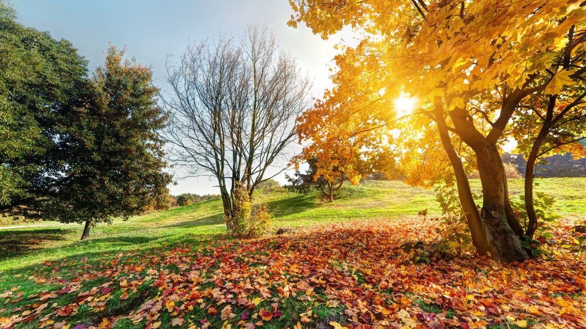 Los meteorólogos hablan sobre el cambio de armario en este mes de octubre con la llegada del otoño.