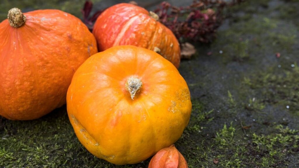 Las enfermedades que la calabaza ayuda a combatir